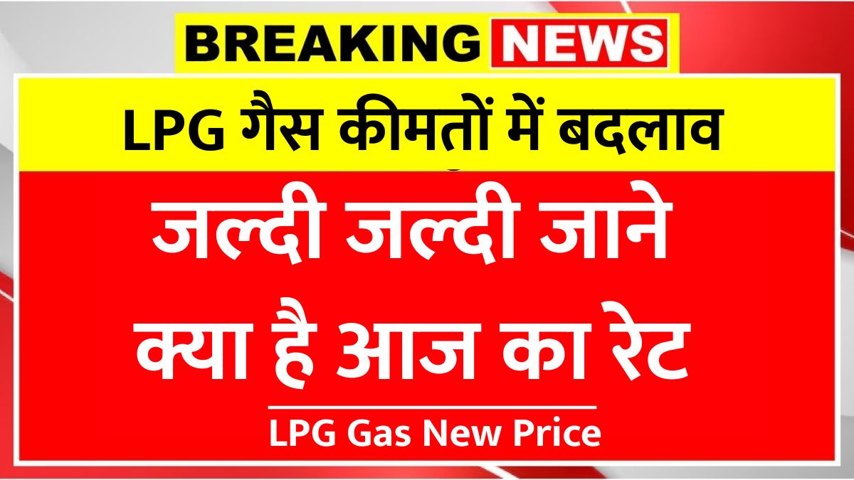 Lpg gas new price
